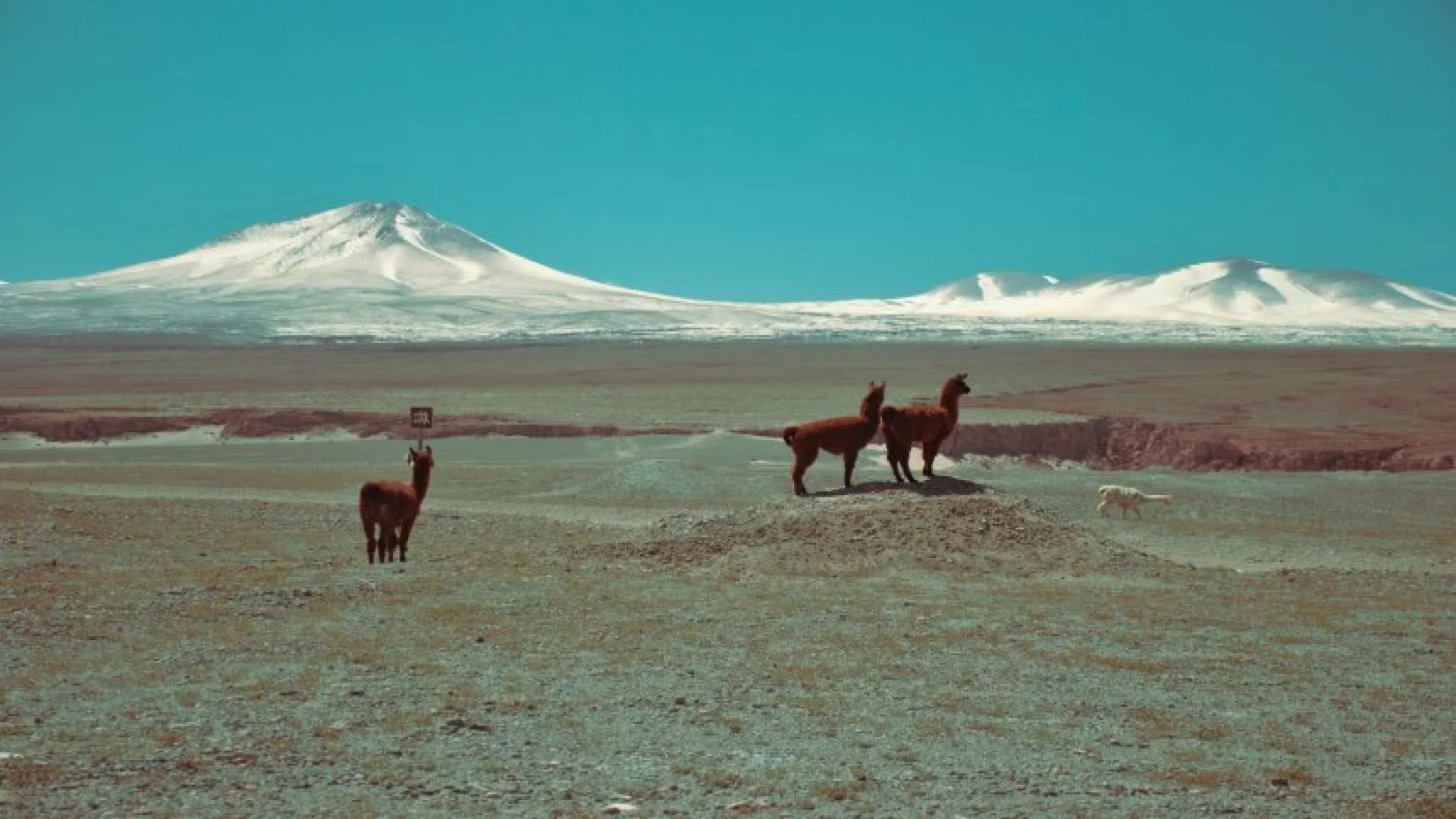 San Pedro de Atacama: El Corazón del Desierto
